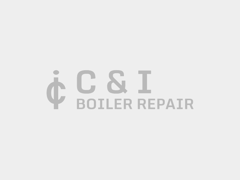 C&I Boiler Services